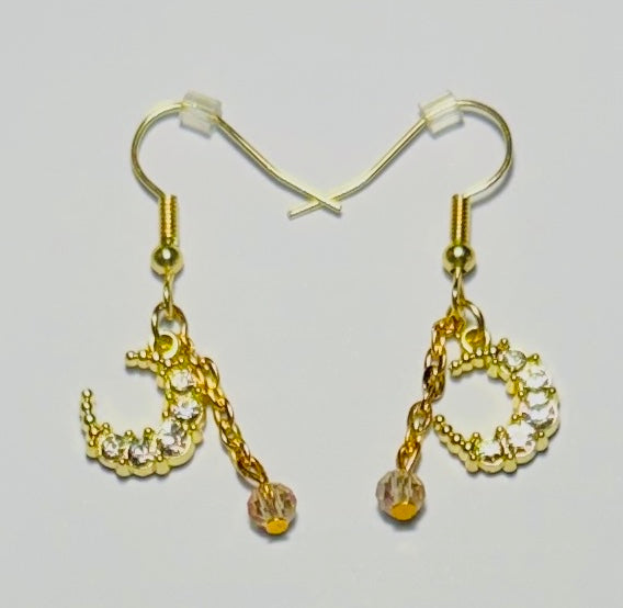 Elegant Earrings